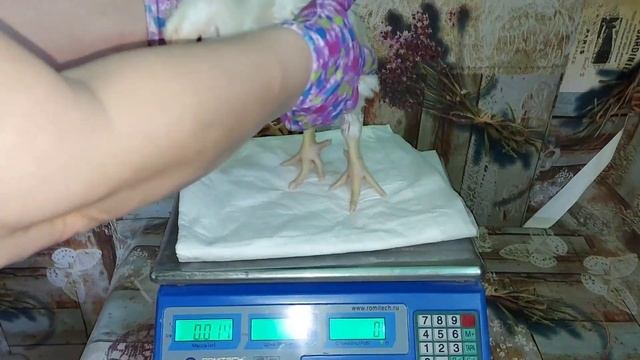 Растут с опережением норм, у кого также. Вес бройлеров в 21 день. смотреть онлайн