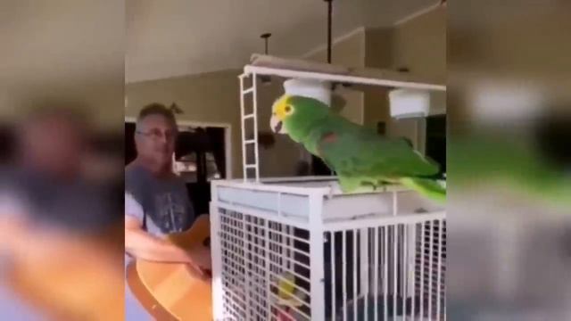 test Avto #3 смотреть онлайн