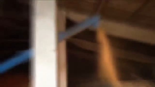 Загрузчик сеялок ЗСНБ-30 смотреть онлайн