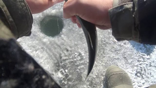 18.12.22.Тавричанка ловля селёдки.