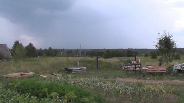 Вот это поработал/Вылазка за грибами ,что мешает работе смотреть онлайн