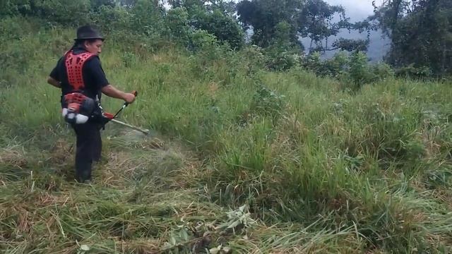 Shindaiwa C350 Video