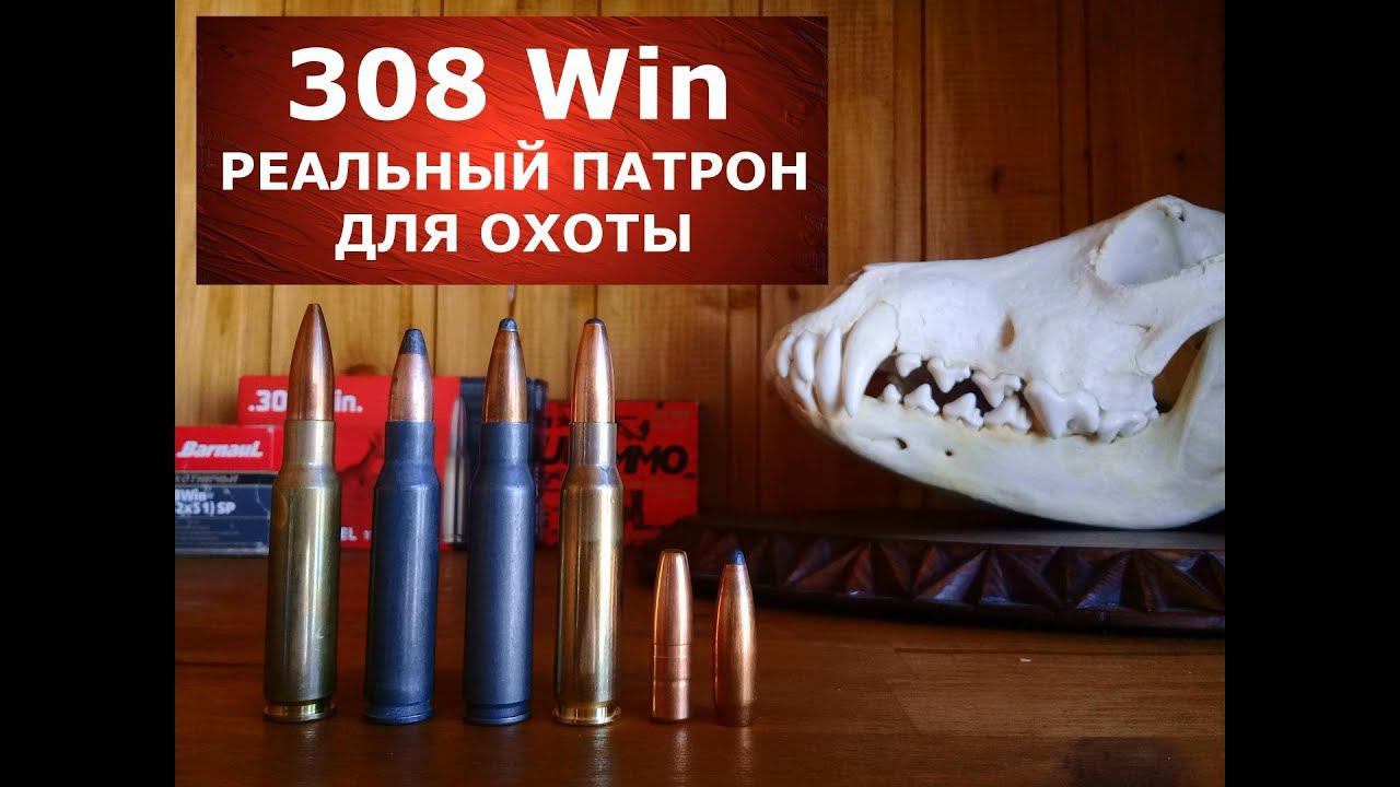 308 Win реальный патрон для реальной охоты! Почему? смотреть онлайн