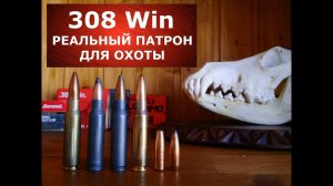 308 Win реальный патрон для реальной охоты!  Почему?
