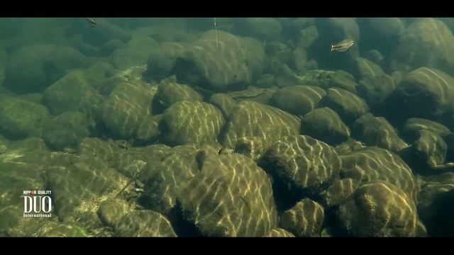 Lure Masterclass: Spearhead Ryuki 45S - How to смотреть онлайн