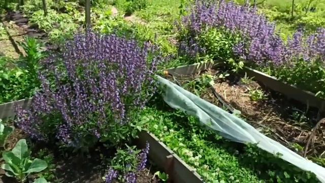 затеняющая сетка для защиты овощей 45% смотреть онлайн