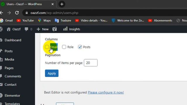 How To Display User Email in WordPress Users Table смотреть онлайн