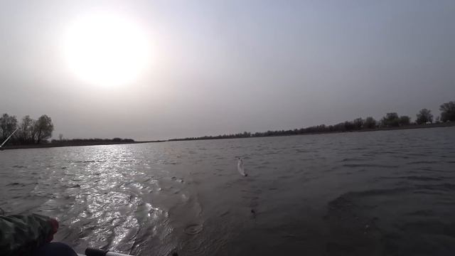 Шикарный клёв первой Воблы в Астрахани. Супер рыбалка 2023 смотреть онлайн