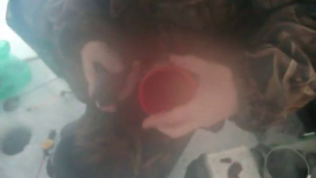 Крупный ротан смотреть онлайн