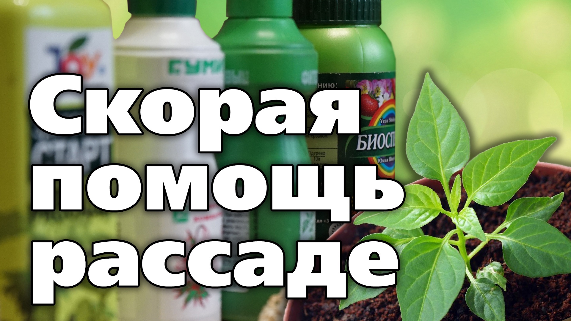 ЭТИ ПРЕПАРАТЫ СПАСУТ РАССАДУ. ДЕРЖИТЕ ПОД РУКОЙ смотреть онлайн