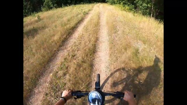 ИСТОРИЯ ПРО СБОР ШИПОВНИКА. смотреть онлайн