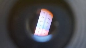 Клубника Сладкий Колосс. Брикс.