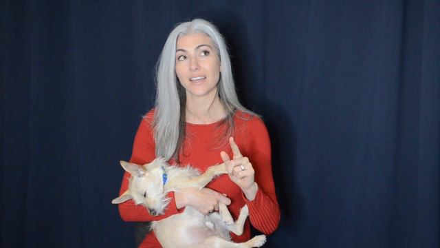 Your BIGGEST Fears About Going Grey смотреть онлайн