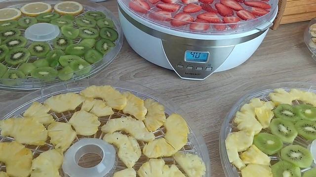 СУШКА банана?ананаса?ківі?полуниці?лимона?в сушарці смотреть онлайн