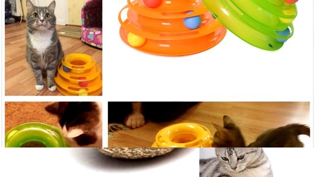 10 классных товаров для кошек с Aliexpress смотреть онлайн