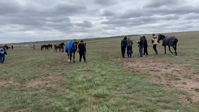 Ергенинский 1 мая 2023 смотреть онлайн