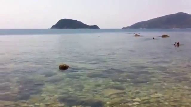Agios Sostis island,Zante смотреть онлайн