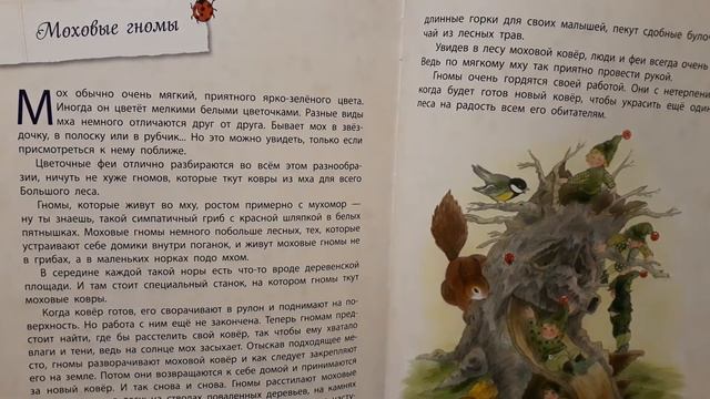 Истории сказочного леса. Цветочные феи. Моховые гномы. смотреть онлайн