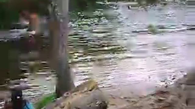 igarapé do rio grande, Na Cidade de Terra alta do pará.N1 смотреть онлайн