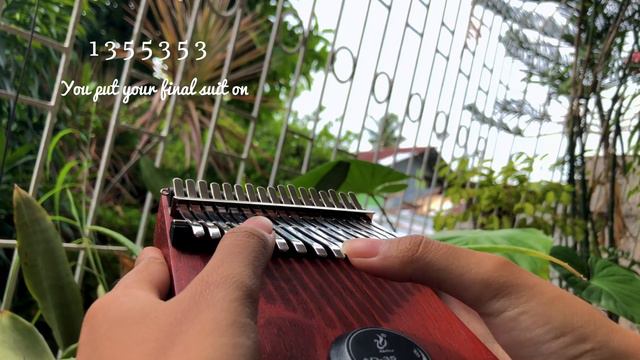 As the world caves in by Matt Maltese Kalimba Cover with Easy Tabs смотреть онлайн