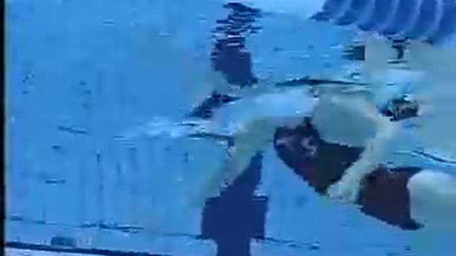 БРАСС - Обучающее Видео