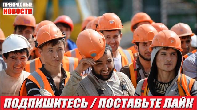 В России мигрантов обязали знать русский язык и историю смотреть онлайн