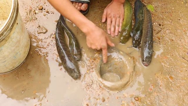 Unbelievable Fishing Experiment: Catch Fish in Hole With Python#002 смотреть онлайн