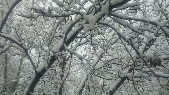 краснодар засыпает снегом смотреть онлайн