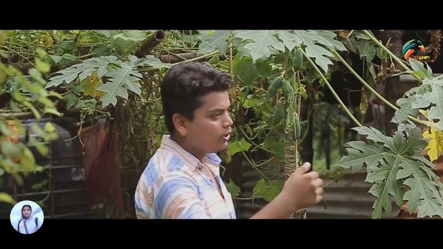 Amar Buyer Bir Jatri Team Tomra Sobai Eso আমার বিয়ের বর যাত্রীতে তোমরা সবাই এসো New song 2021 смотреть онлайн