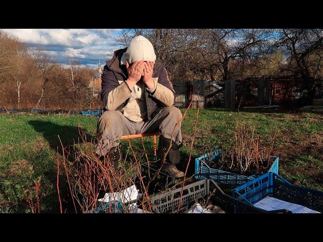 Хочу лучший сорт с самой крупной и вкусной ягодой!!! // УСАД.РФ