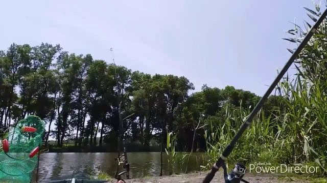 Рыбалка в станице Динской. Карась на платнике "Клёвое место". Черепаха на удочку? смотреть онлайн