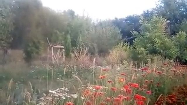 Чем правда отличается от истины? смотреть онлайн