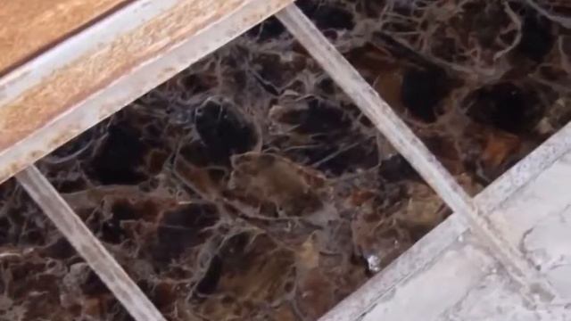Неизвестная Мексика часть 1 смотреть онлайн