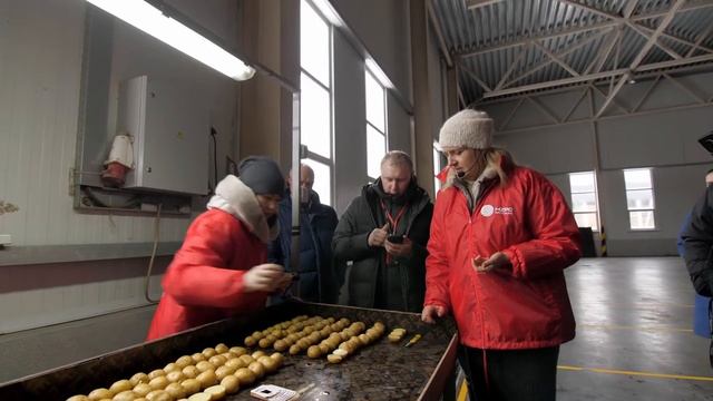 Клубневой анализ партии семенного картофеля смотреть онлайн