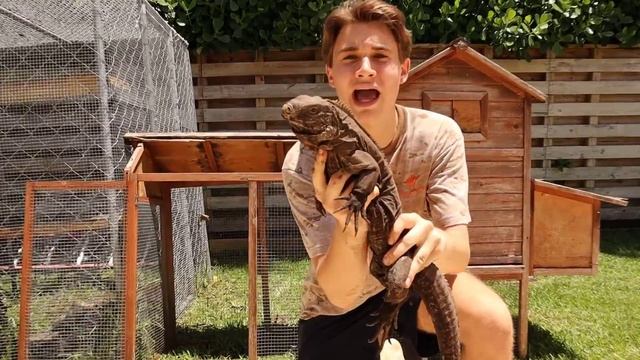 My PET LIZARD IS STUCK In A UNDERGROUND CAVE ! WILL WE SAVE HER ?! смотреть онлайн