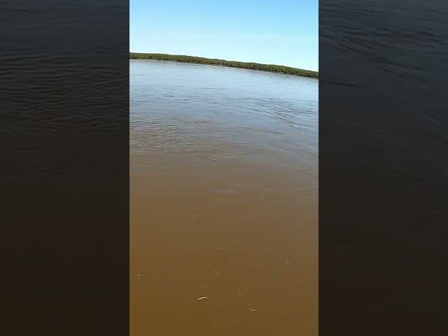 Это кто? Рыбалка на спиннинг смотреть онлайн