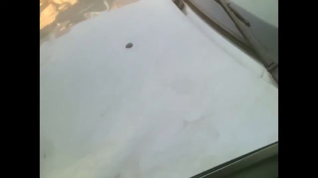 Renault Logan перевертыш!!!!!!!! смотреть онлайн