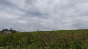 Что дают деревенские помойки? Коп металлолома. Металлокоп