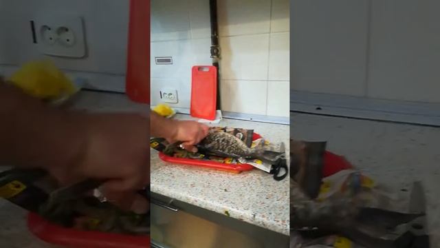 Способ как безопасно чистить рыбу ложкой смотреть онлайн