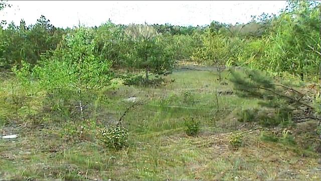 Девушка Синильга смотреть онлайн