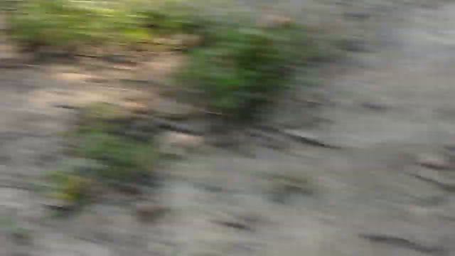 Серебрянка август 2019,варю кофе смотреть онлайн