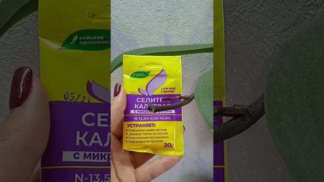 Срезаем цветонос Кормим орхидею смотреть онлайн