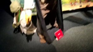 МУЗЕЙ ВОСКОВЫХ Фигур? ЩЕЦИН-SZCZECIN.ПольША!