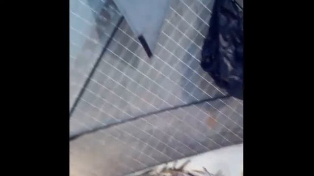 Хороший клёв при СИЛЬНОМ ветре