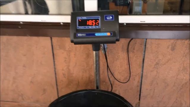 Улов на основном водоеме Савельево-2!!! Улов свыше 30 кг!!! Бешеный клев!!! смотреть онлайн