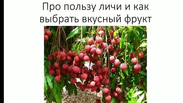 О пользе личи и о том, как выбрать самые вкусные и спелые плоды. смотреть онлайн