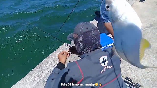 Gilaa Bro!!.. Rakus Betul ini Ikan.. Baru Turun Langsung Nyambar..|| Mancing Dermaga sarang Ikan. смотреть онлайн