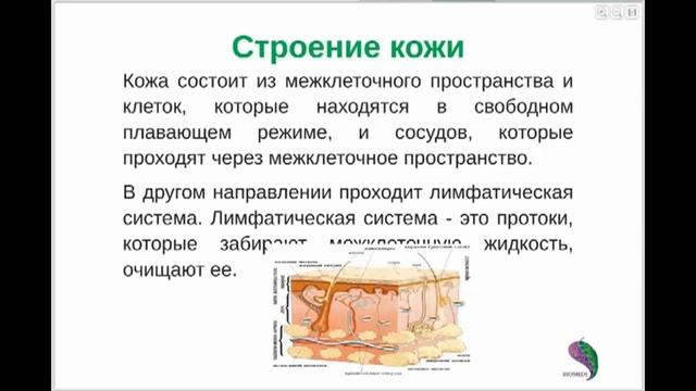 Здоровая кожа, разглаживание морщин, угри кожные, рост волос и ногтей с приборами Биомедис Андроид смотреть онлайн