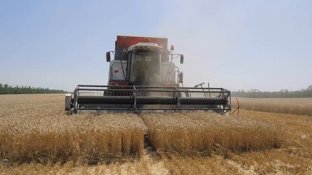 Презентационный ролик НПХ Кореновское смотреть онлайн