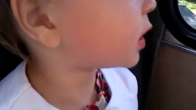 Тра та та мы везем с собой кота смотреть онлайн